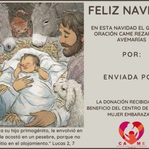 Feliz Navidad 15