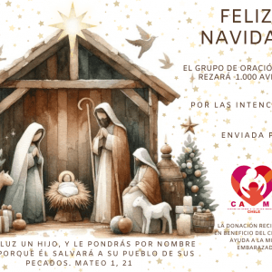 Feliz Navidad 2024 -12