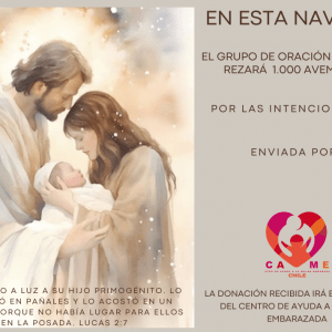 Feliz Navidad 2024 -3